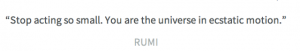 you rumi