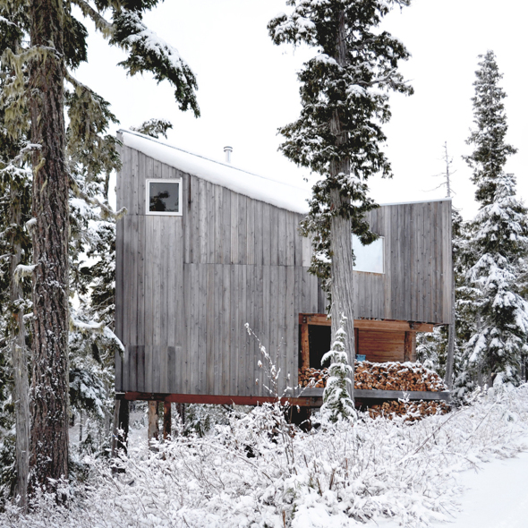 Alpine Cabin/Scott & Scott Architects